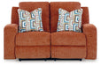 Danum Reclining Loveseat image