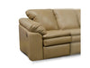 Lackawanna LAF Reclining Chair image